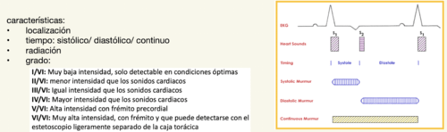 <p>- localización</p><p>- tiempo (sistólico/ diastólico/ continuo)</p><p>- radiación</p><p>- grado: I-VI</p>