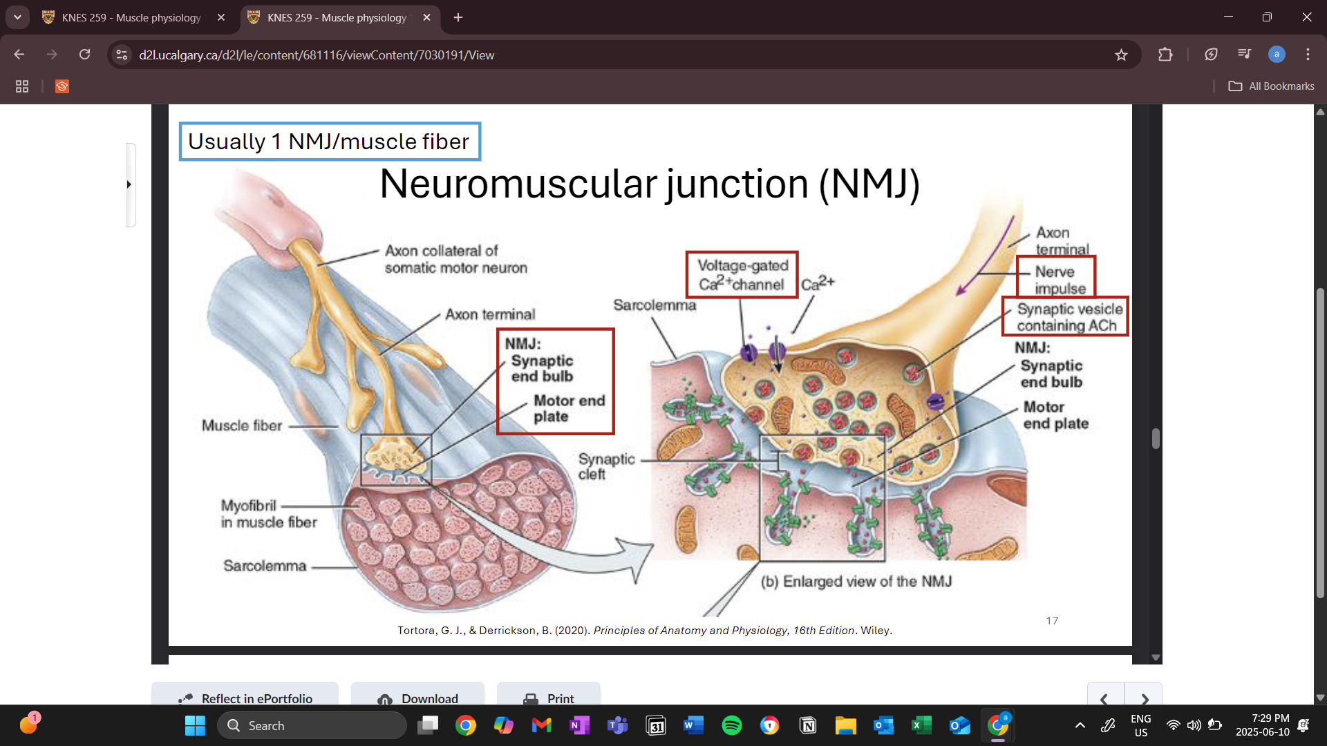 knowt flashcard image
