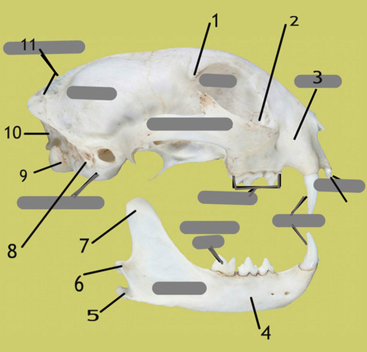<p>5</p>