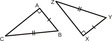 <p>What are these triangles congruent by</p>