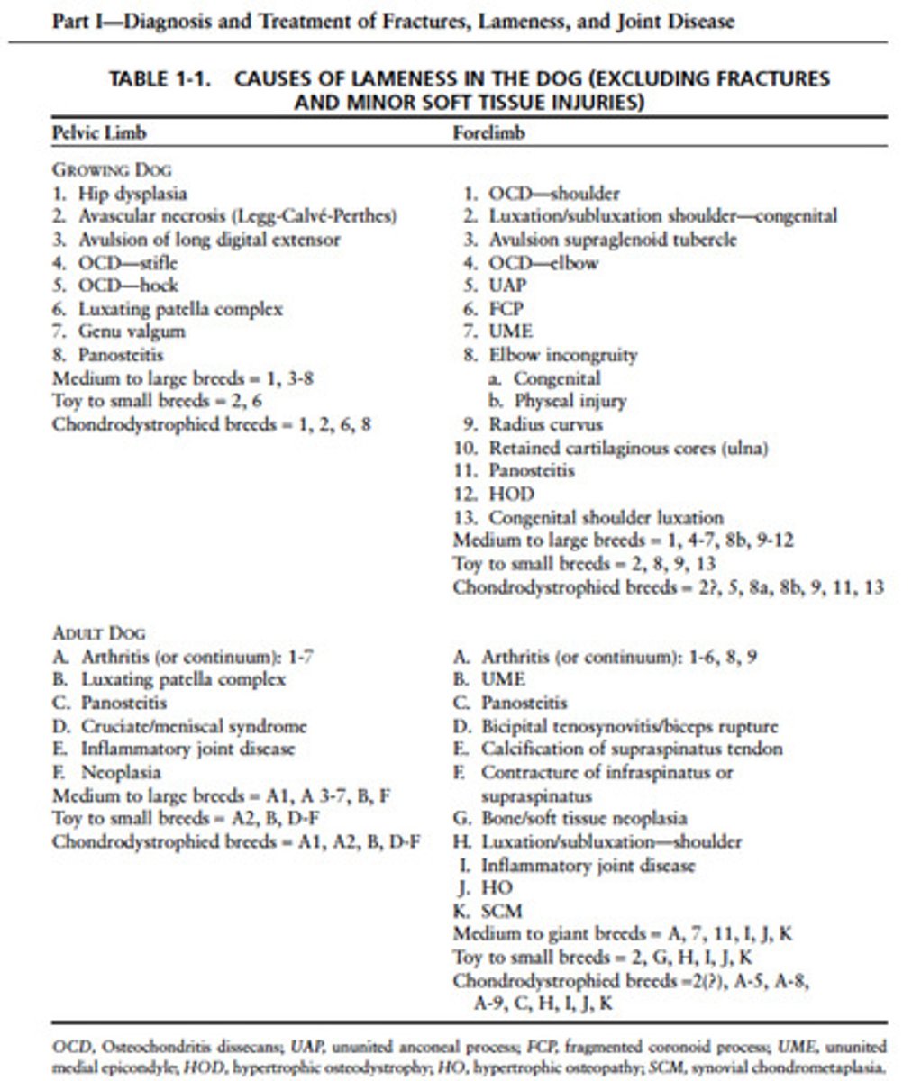<p>Review this list of lameness differential diagnoses</p>