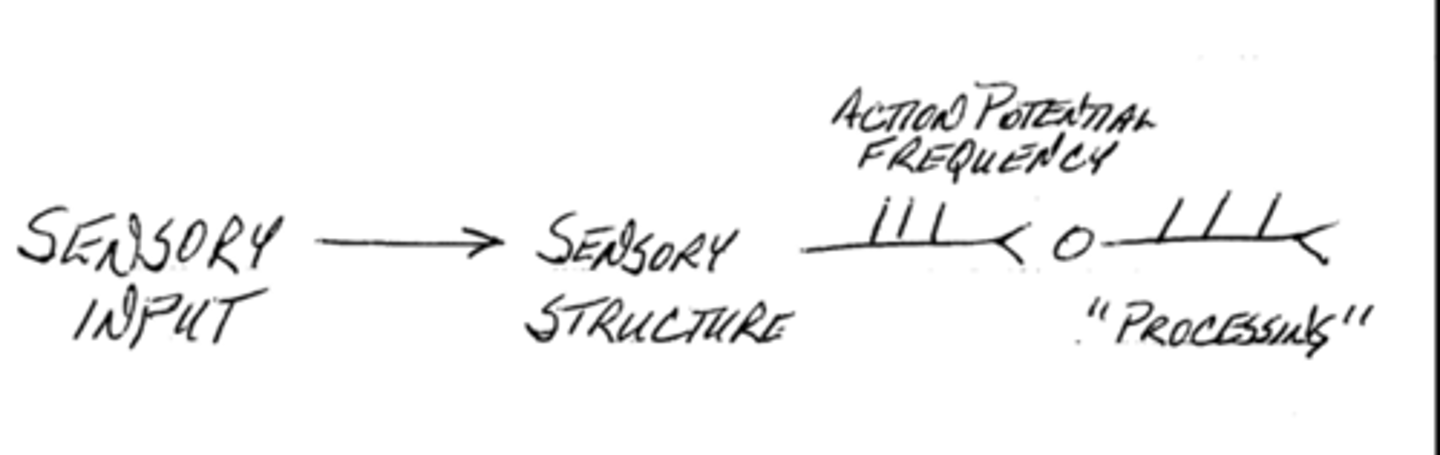 <p>frequency, pattern</p>