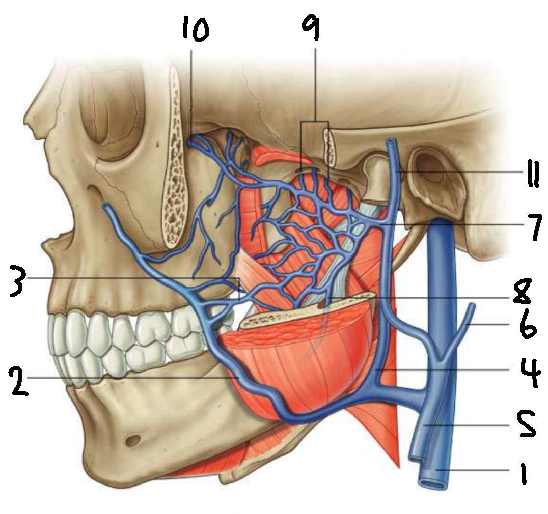 <p>What is 3?</p>