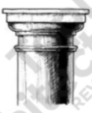 <p><span>Tuscan</span></p>