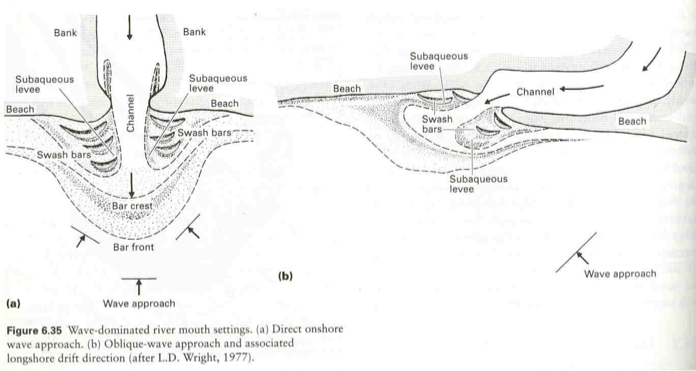 <p>wave action reworks sediment delivered to the delta by longshore drift, smooth shorelines produced (Nile river delta)</p>