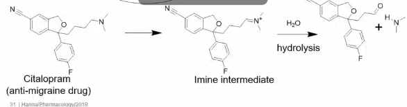 <p>imine </p><p>aldehyde and amine </p><p>FAD</p><p></p>