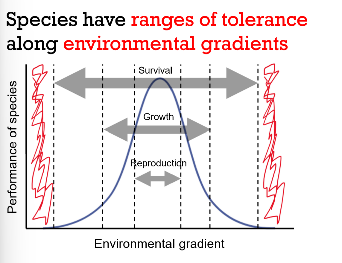 <ul><li><p>Lethal Zones (outside bell curve)</p></li><li><p>Survival </p></li><li><p> Growth </p></li><li><p> Reproduction</p></li></ul><p></p>