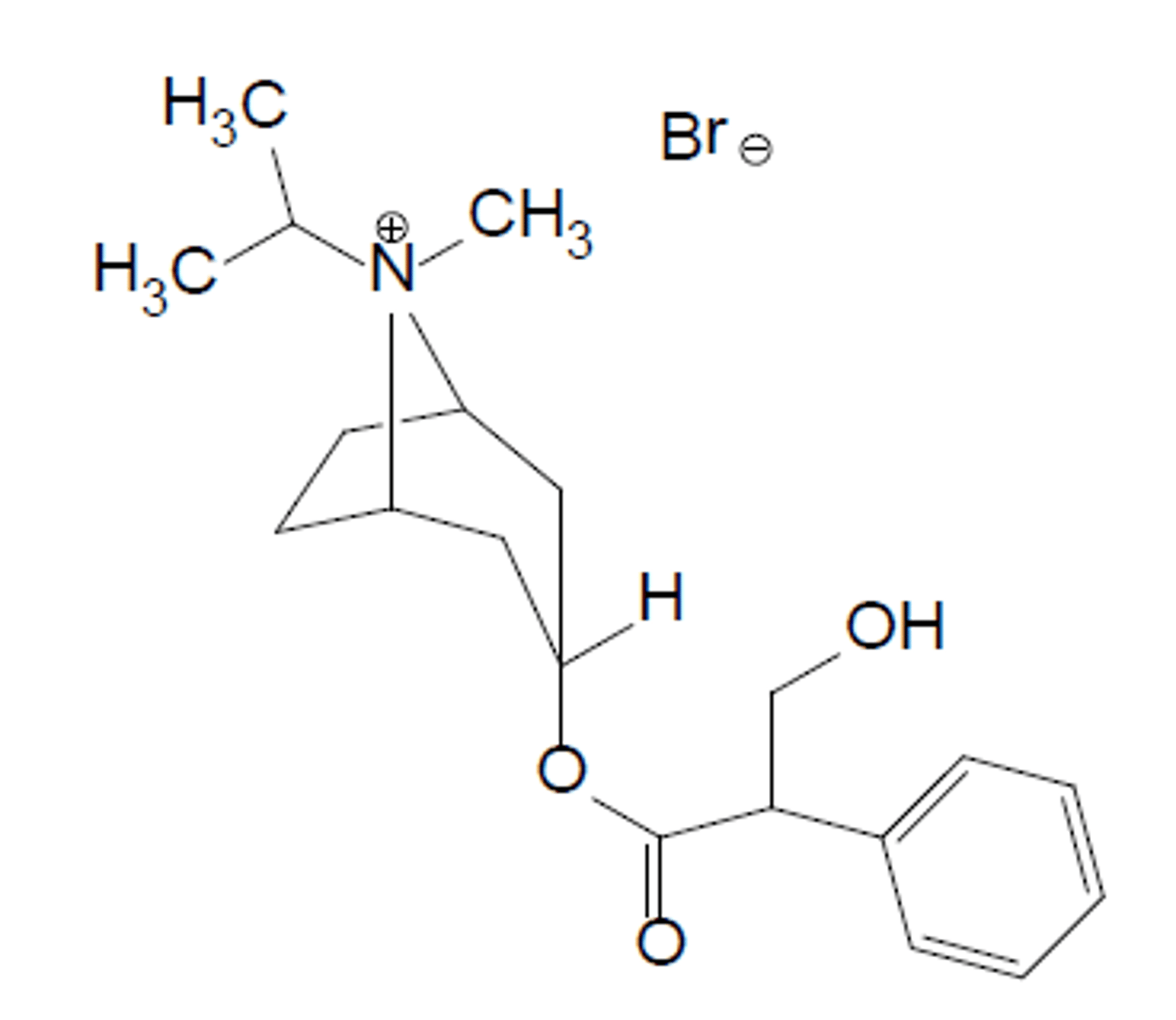 <p>quaternary amine (permanent positive charge)</p>