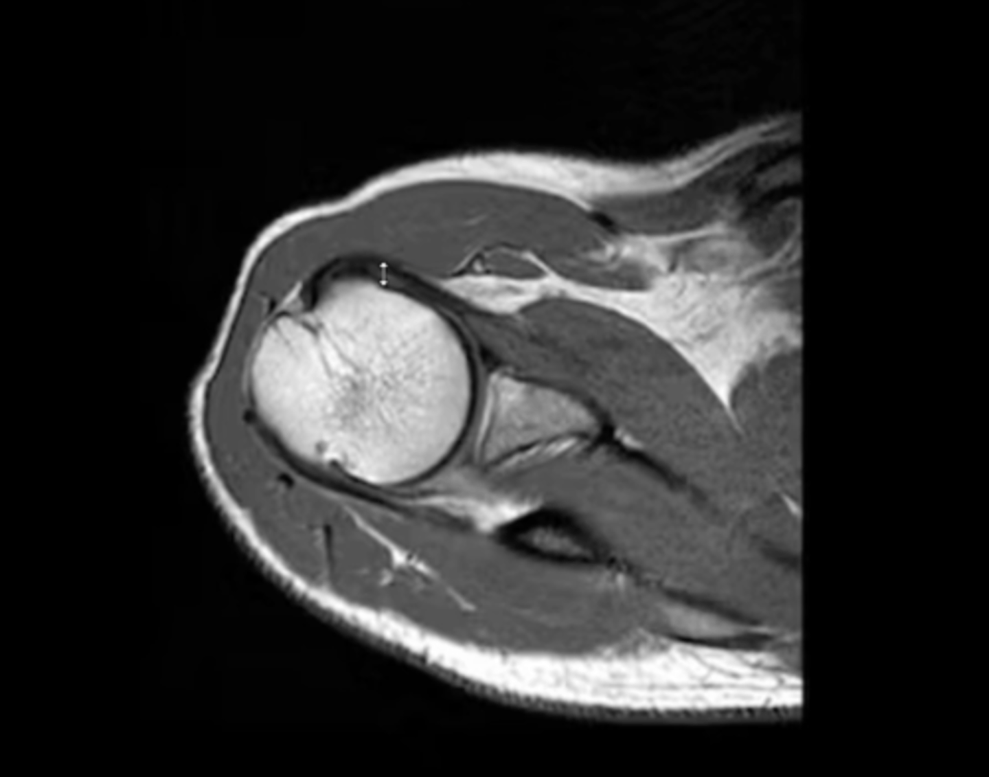 <p>What is this image depicting?</p>