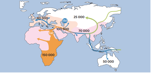 <ul><li><p><span style="font-family: Nunito, sans-serif">H. sapiens evolved in Africa around <mark data-color="blue" style="background-color: blue; color: inherit">200 000 to 300 00 years ago</mark> (long after the departure of H. erectus into Eurasia)</span></p><ul><li><p><span style="font-family: Nunito, sans-serif">Remained there for an <mark data-color="blue" style="background-color: blue; color: inherit">extended period (100,000 years)</mark></span></p></li></ul></li><li><p><span style="font-family: Nunito, sans-serif">Emigrated in <mark data-color="blue" style="background-color: blue; color: inherit">waves</mark>, replacing the existing hominin species (like H. erectus and H. neanderthalensis) in <mark data-color="blue" style="background-color: blue; color: inherit">diff. Parts of Eurasia</mark></span></p></li><li><p><span style="font-family: Nunito, sans-serif">All modern humans are of <mark data-color="blue" style="background-color: blue; color: inherit">African descent</mark></span></p></li></ul><p></p>