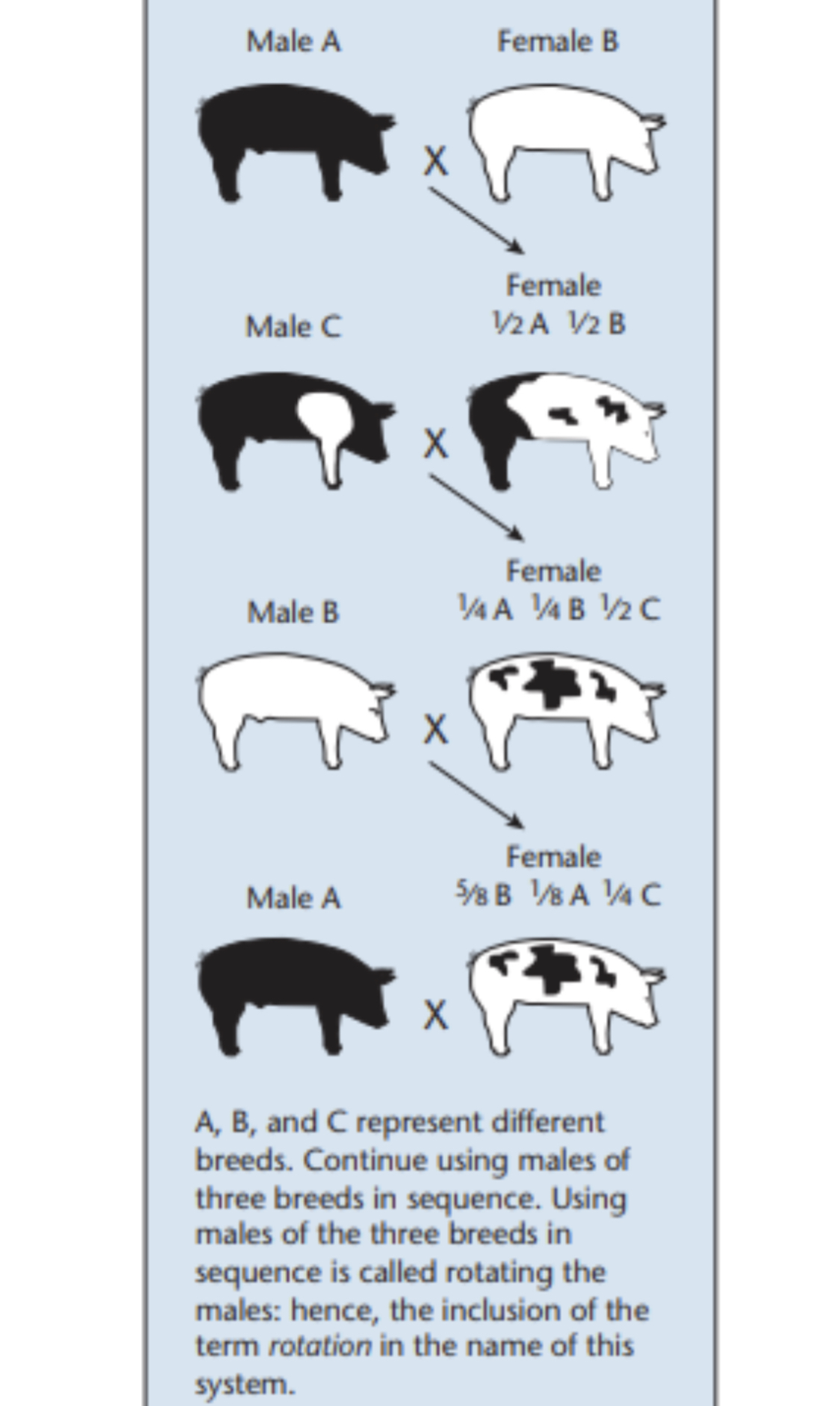 knowt flashcard image