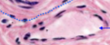 <p>What is this image ?</p>