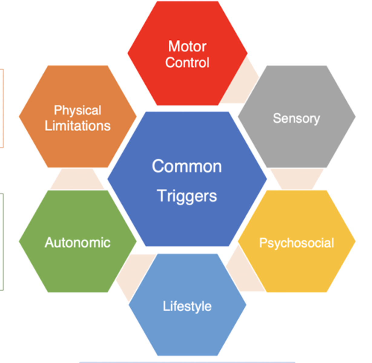 <p>1. Motor control (attention to body part/ symptom, change in environment, seeing abnormal movements in others)</p><p>2. Sensory (changing stimuli, too much vs. too little, specific stimuli, changes in temp, textures)</p><p>3. Psychosocial (ACEs, anxiety/ depression, trauma, stress, lack of control or autonomy)</p><p>4. Lifestyle (sleep, fatigue, stress, change in diet/routine, poor pacing)</p><p>5. Autonomic (fear, stress, exercise or exertion, change in position, change in vitals)</p><p>6. Physical limitations (physical injury, nerve tension, muscle tightness/soreness, pain)</p>
