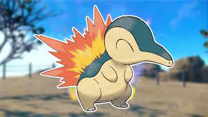 CyndaQuil