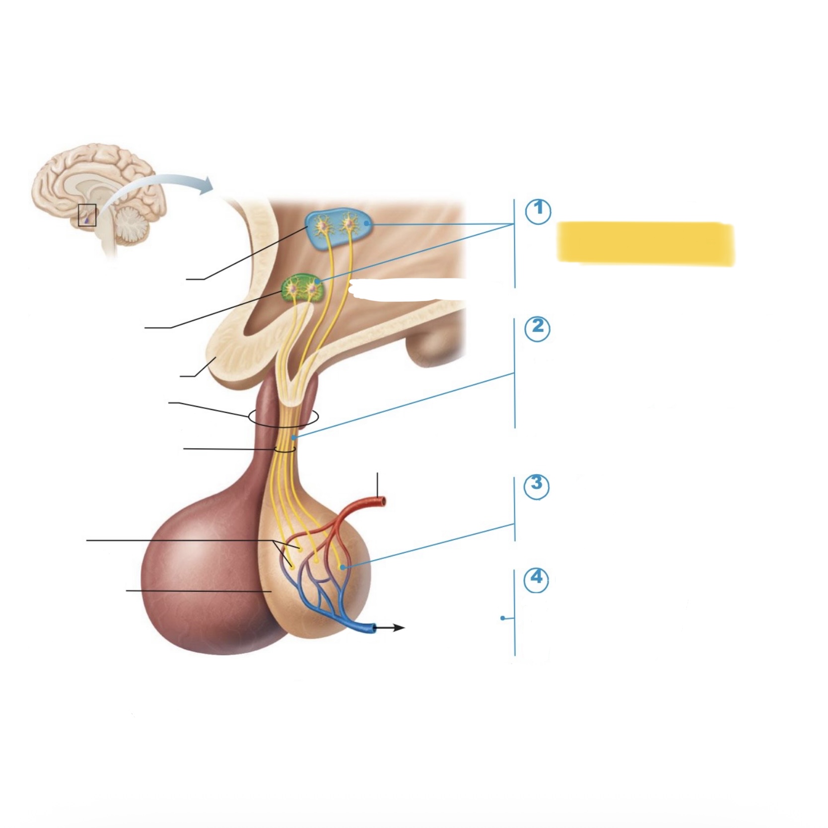 <p>What happens at this part?</p>
