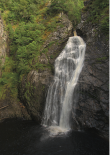 <p>Perceiving motion in the opposite direction after adapting to one direction of motion.</p><ul><li><p>occurs when viewing a moving stimulus causes a stationary stimulus to appear to move.</p></li><li><p>Type of illusory movement</p><ul><li><p><span style="color: green">Example</span>: the waterfall illusion. If you look at a waterfall for 30 to 60 seconds and then look off to the side at part of the scene that is stationary, you will see everything you are looking at—rocks, trees, grass—appears to move upward for a few seconds.</p></li></ul></li></ul><p></p>