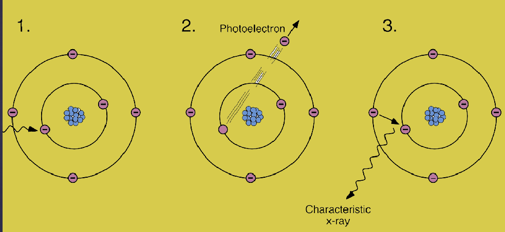 <p>how images are formed:</p><p>photon collides w/ inner-shell electron → electron is ejected (ionization) → photon transfers all energy to the electron + photon ceases to exist → another electron from higher energy fills the vacancy → radiation is emitted </p>