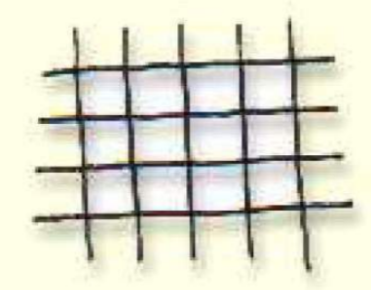 <p>Rectilinear </p>