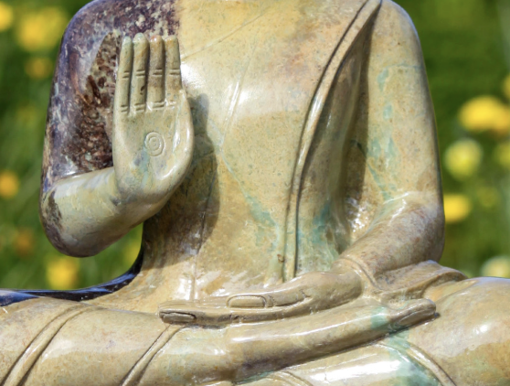 <p>Abhaya Mudra </p>