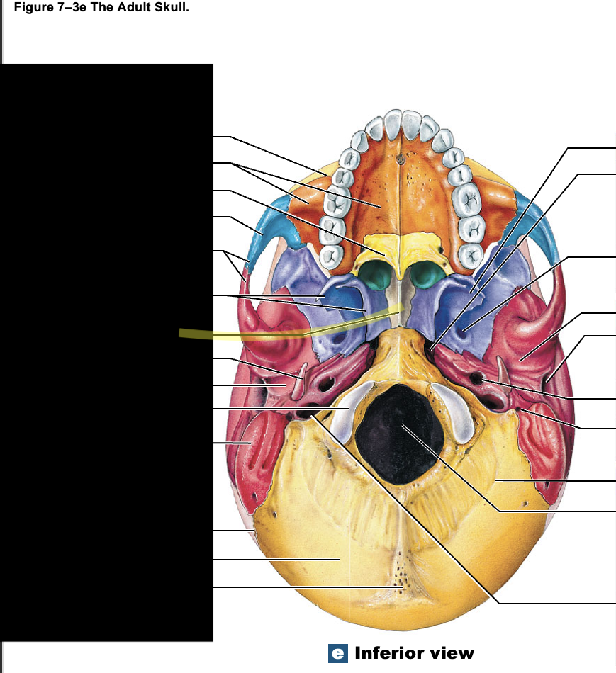 <p>What structure is this?</p>