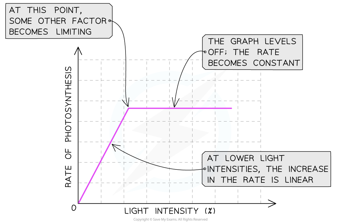 <ul><li><p>The <strong>intensity</strong> of the light available to the plant will depend on the amount of energy that it has to carry out photosynthesis</p></li><li><p>The <strong>more</strong> <strong>light</strong> a plant receives, the <strong>faster</strong> the rate of photosynthesis</p></li><li><p>This trend will stop if either temperature or carbon dioxide are limiting factors</p></li></ul>