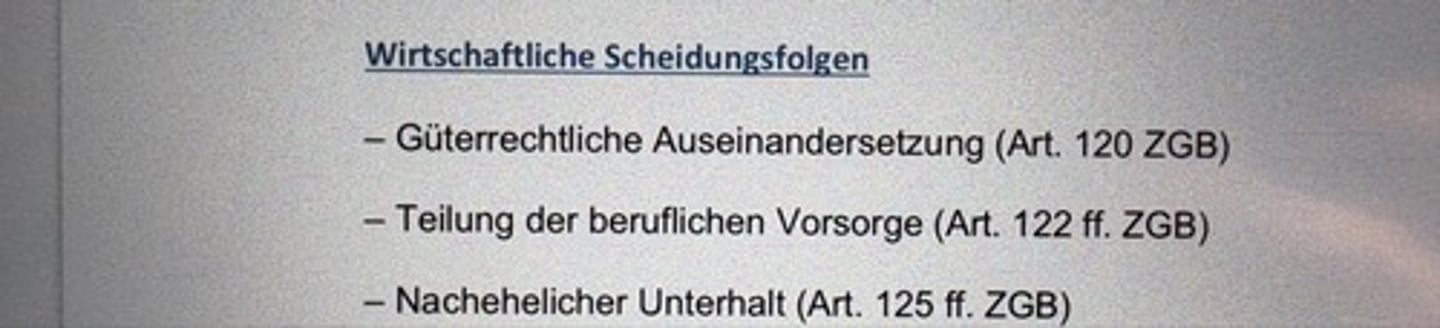 <p>- Güterrechtliche Auseinandersetzung (Art. 120 ZGB)</p><p>- Teilung der beruflichen Vorsorge (Art. 122 ff. ZGB)</p><p>- Nachehelicher Unterhalt (Art. 125 ff. ZGB)</p>