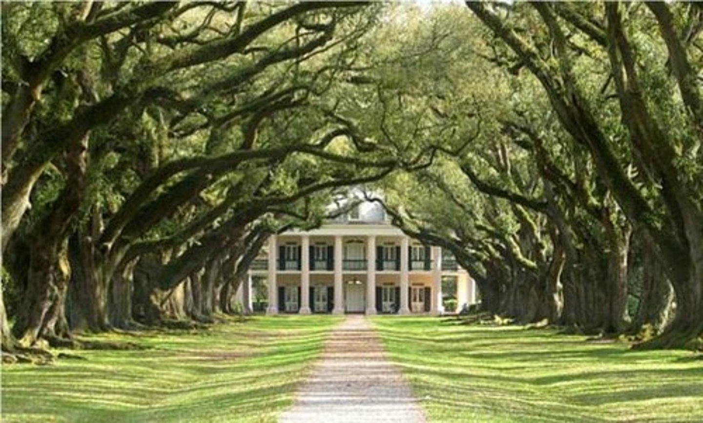 <p>- Top of the Southern social structure</p><p>- Dominated the economy and politics of the South with their wealth and cultural influence</p>