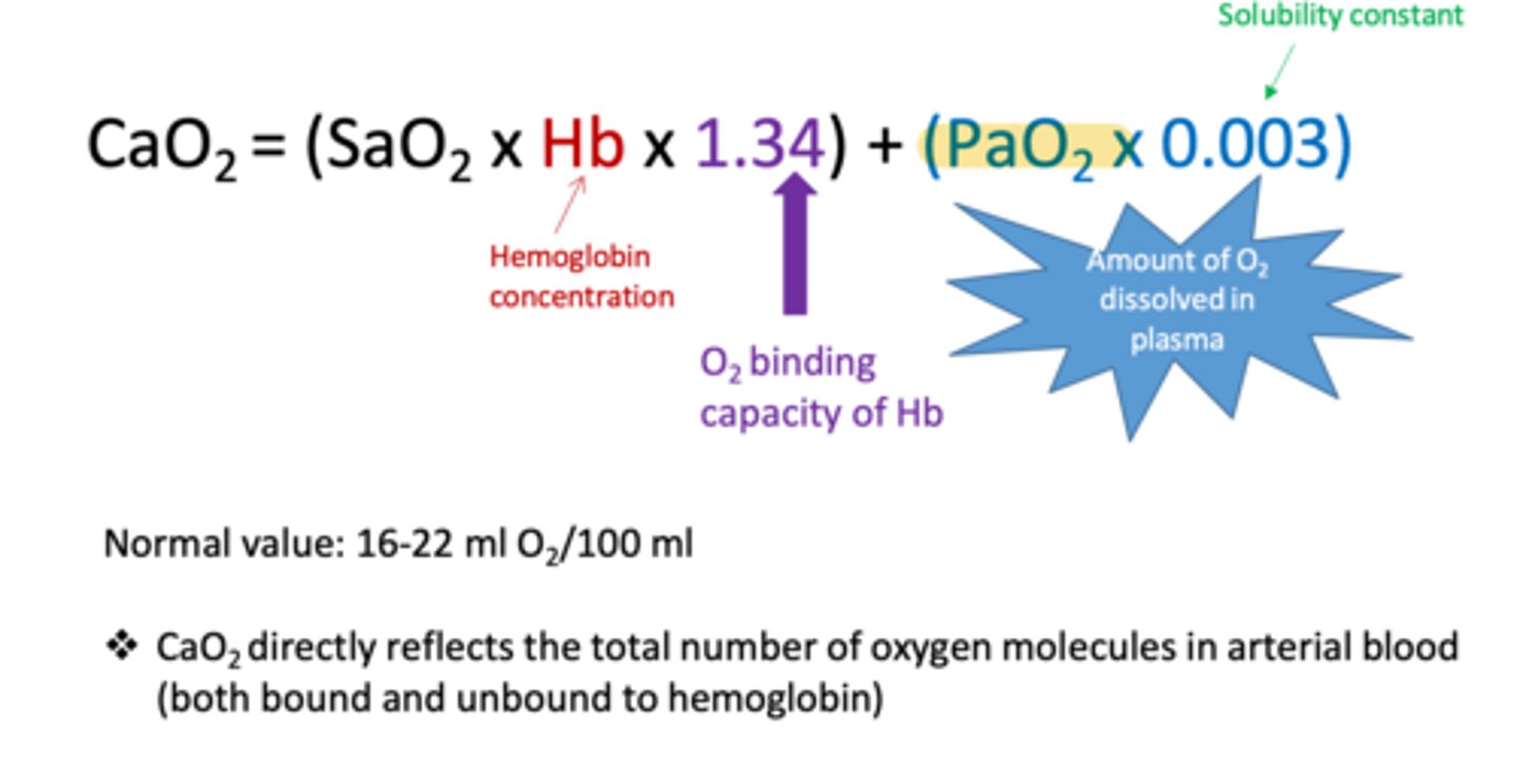 <p>overall significance of blood gas when it comes to O2 measurements</p>