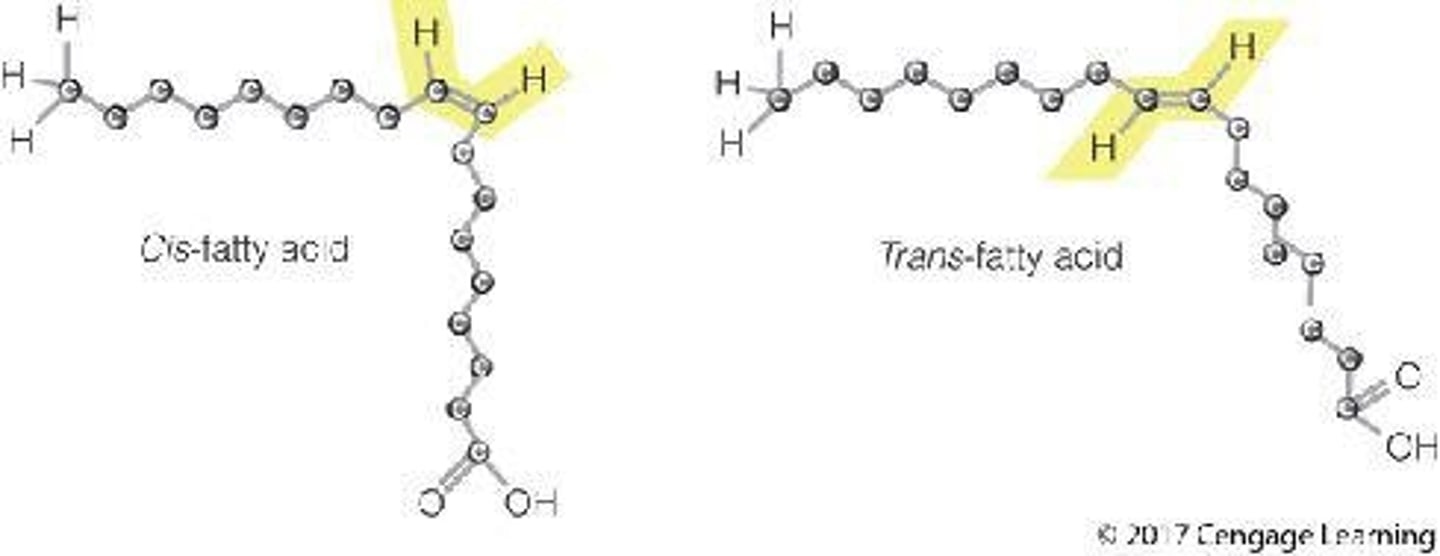 <p>Fats that result from hydrogenation, altering some double bonds from cis to trans shape, increasing heart disease risk.</p>