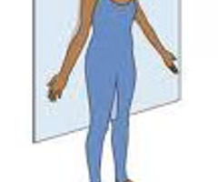 <p>divides body into front and back</p>
