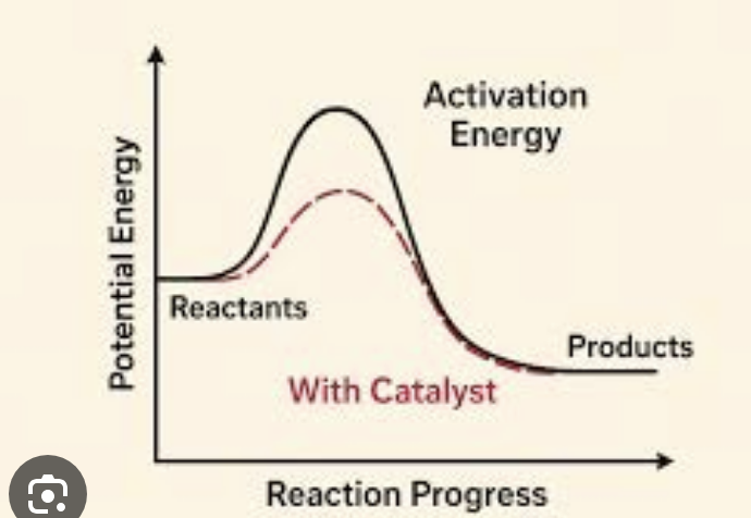 <p>Increasing reactant energy or decreasing transition-state energy (pictured)</p>