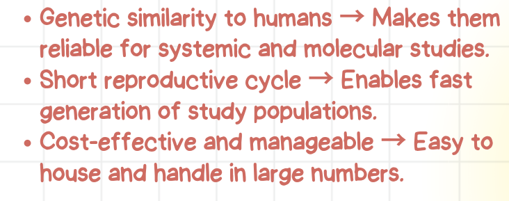 <p>They are advantageous because of their close genetic similarity to humans, rapid breeding, and cost-effective handling, making them the backbone of systemic preclinical research</p>