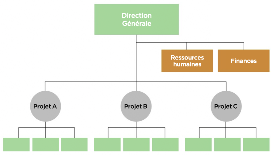 <p>À quel type d’organisation de projets s’applique ceci ?</p>