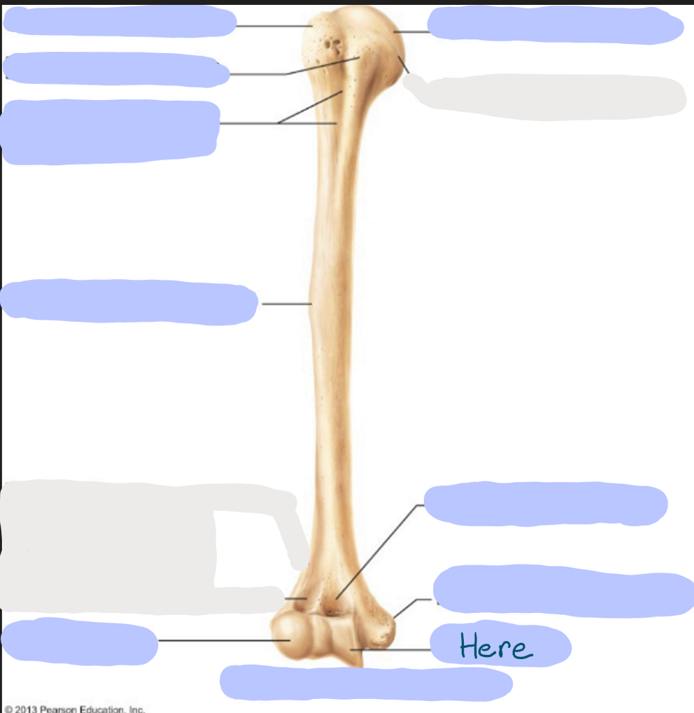<p>What is here?</p>