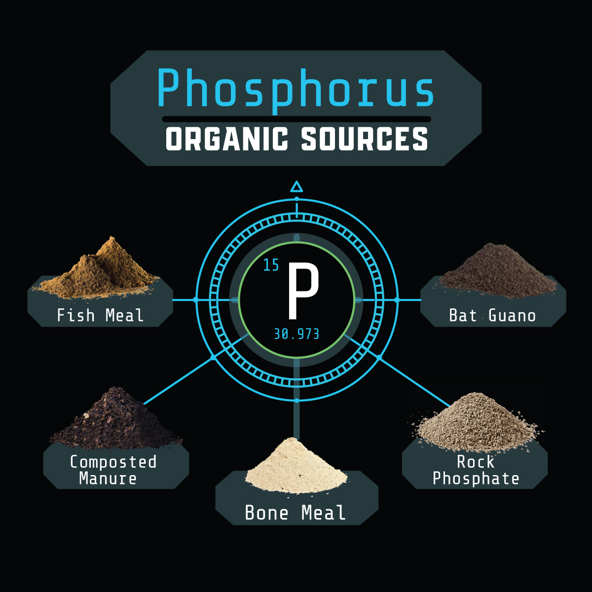 <ul><li><p><span style="background-color: transparent;"><span>in </span><strong><span>Biomass</span></strong></span></p></li></ul><ul><li><p><span style="background-color: transparent;"><span>in</span><strong><span> Labile</span></strong></span></p></li><li><p><span style="background-color: transparent;"><span>in </span><strong><span>Protected Organic Matter</span></strong></span></p></li></ul><p></p>