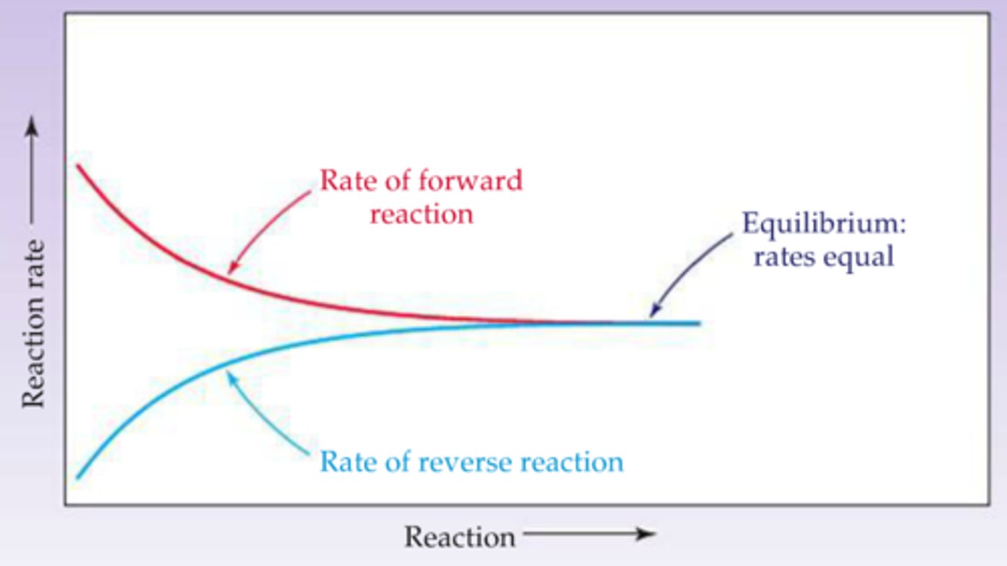 <p>The change in concentration of a reactant/product per unit time</p><p>FORMULA: Amount of reactant used/product made ÷ Time</p>