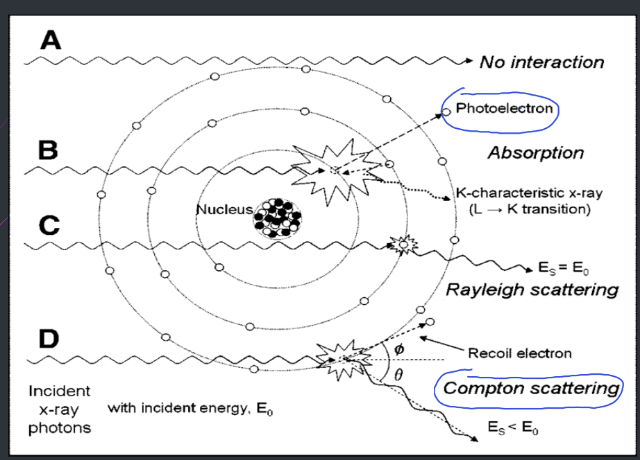 <p>scatter without any change, pure scatter - <strong>unmodified</strong> or <strong>Rayleigh scattering</strong></p><p><strong>Photoelectric effect</strong> (<u>pure absorption</u>) ! - only one’s we need to know</p><p><strong>Compton effect </strong>- (<u>scatter + absorption</u>) ! - only ones we need to know</p><p><strong>pair production - </strong><u>(pure absorption</u>)</p>