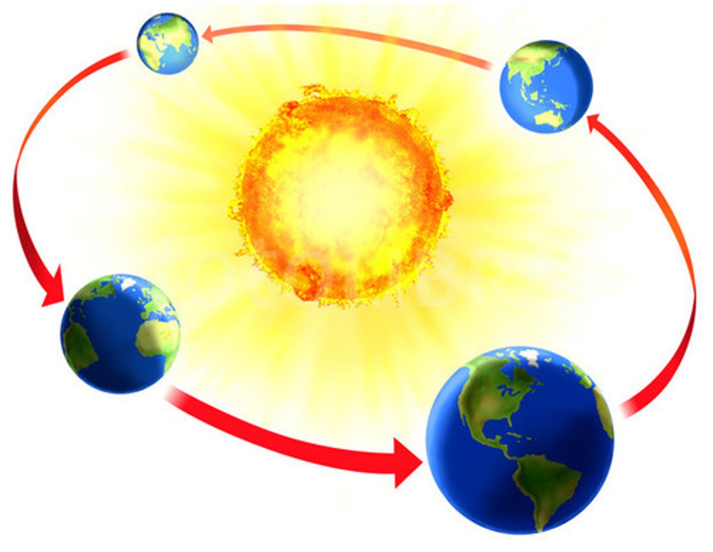 <p>The Earth's movement around the Sun in an orbital path.</p>