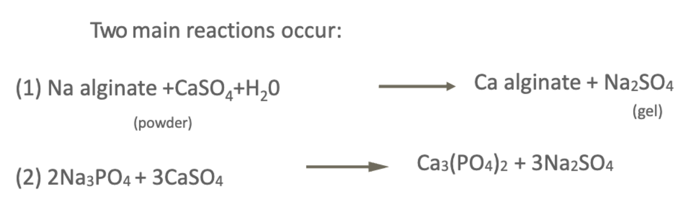 <p>Na3PO4 = retarder (delays reaction so we have more time to work w it)</p><p>CaSO4 = active ingredient</p>