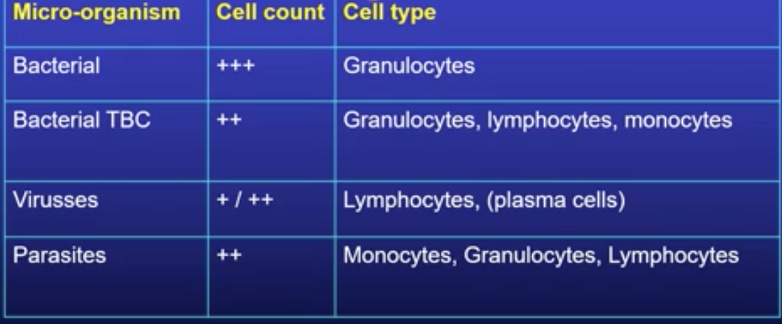 Because observing what kind of cells are most prominent can give an idea on what kind of infection is in the brain (Bacterial, Viral or Parasitic) 