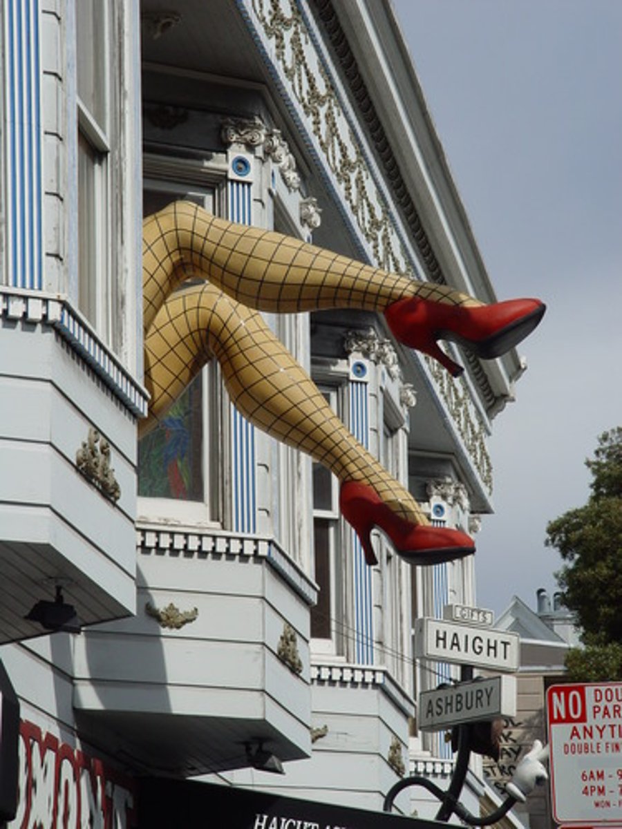 <p>the leg</p>