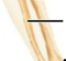 <p></p>
