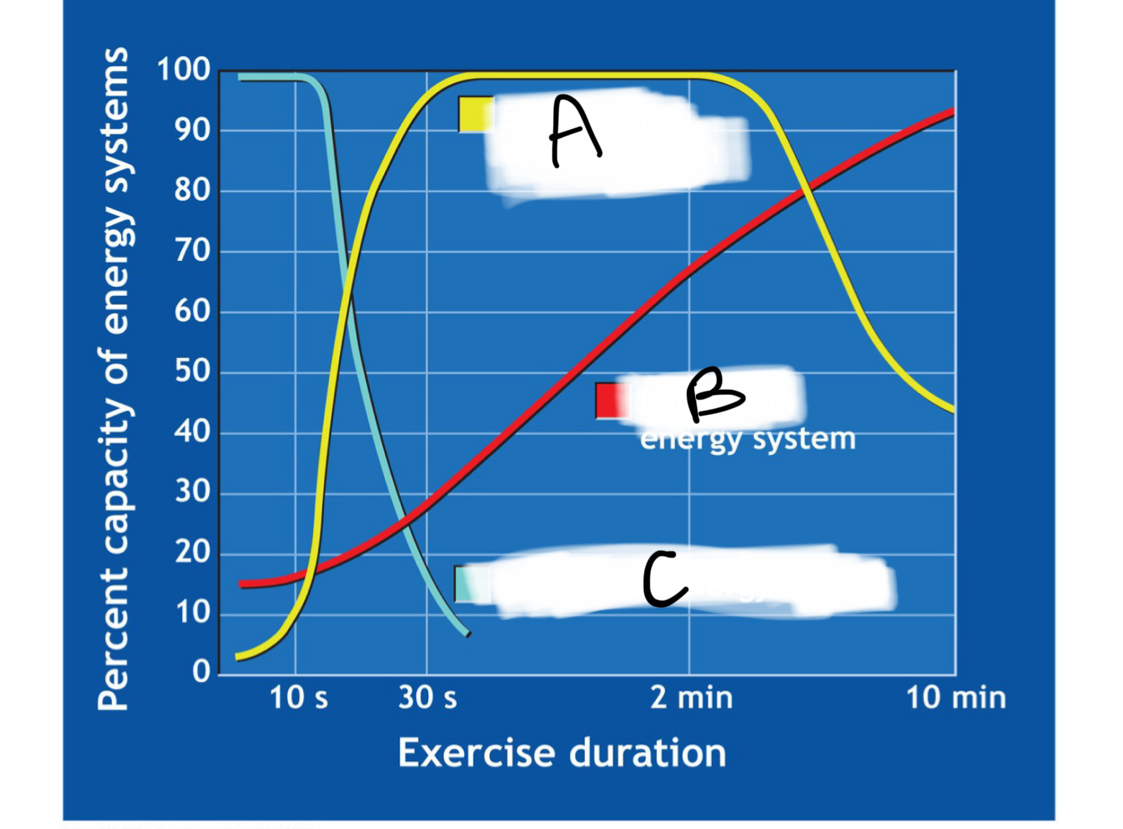 <p>label A, B and C </p>