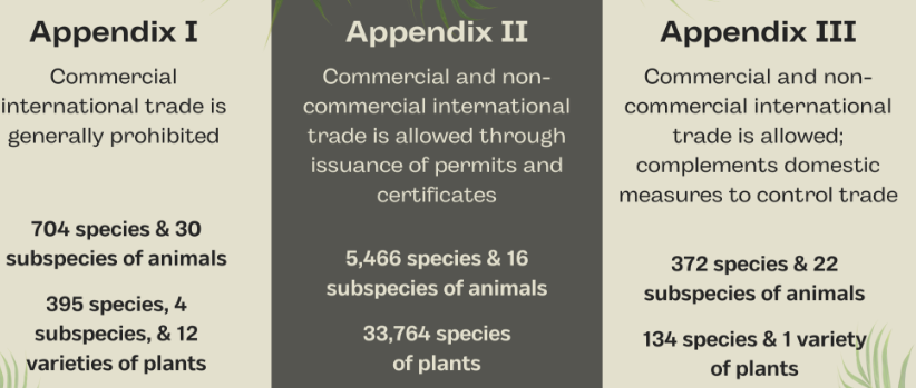 <ul><li><p>Includes both plants and animals</p></li><li><p>Convention on International Trade in Endangered<br>Species – (1973)</p></li></ul><p></p>