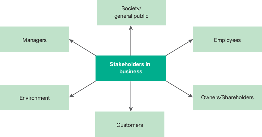<ul><li><p>Businesses have many stakeholders that will influence their operations.</p></li><li><p>Shareholders have a direct influence on a business because they have voting rights on major business decisions.</p></li><li><p>Companies need to ensure that they maximise returns on their shareholders’ investments.</p></li><li><p>Managers will influence organisational policies and procedures as well as employees’ productivity.</p></li><li><p>Employees will influence the quality of an organisation’s products.</p></li><li><p>To ensure its future viability, a business should consider the needs of its customers.</p></li><li><p>Members of the community increasingly expect organisations to show concern for the environment and to be socially responsible.</p></li><li><p>There is growing pressure for businesses to adopt ecologically sustainable operating practices.</p></li></ul><p></p>