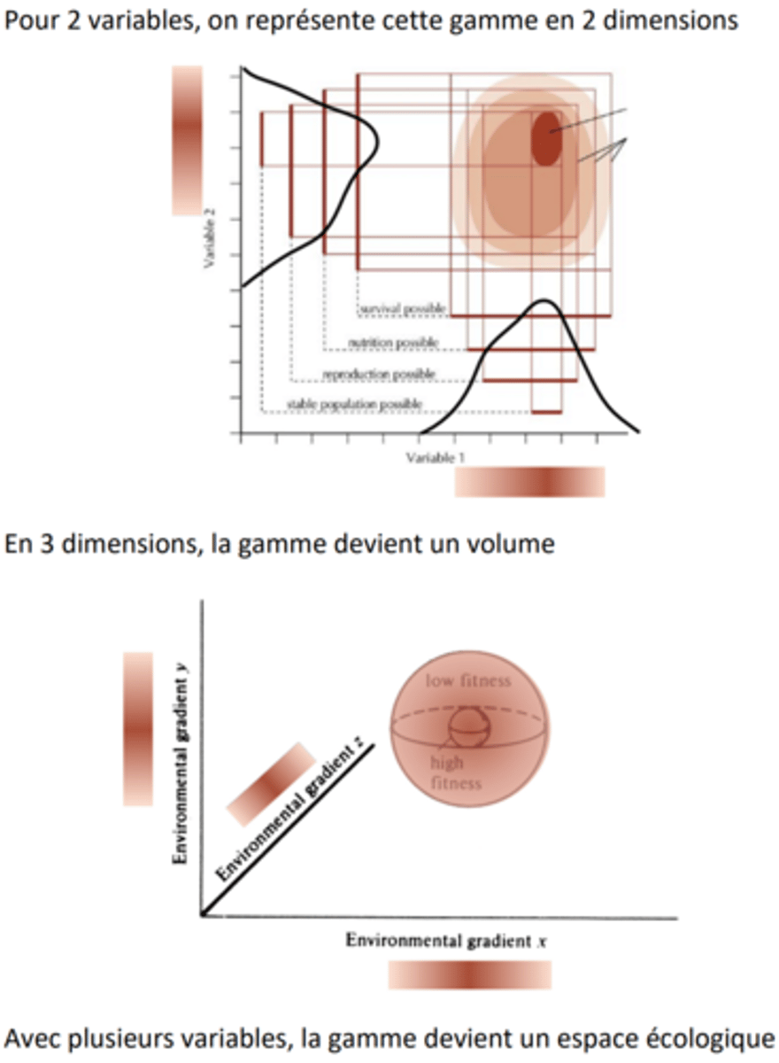 <p>Pour une variable on peut dessiner une courbe qui représente la gamme dans laquelle l'espèce peut persister.</p>