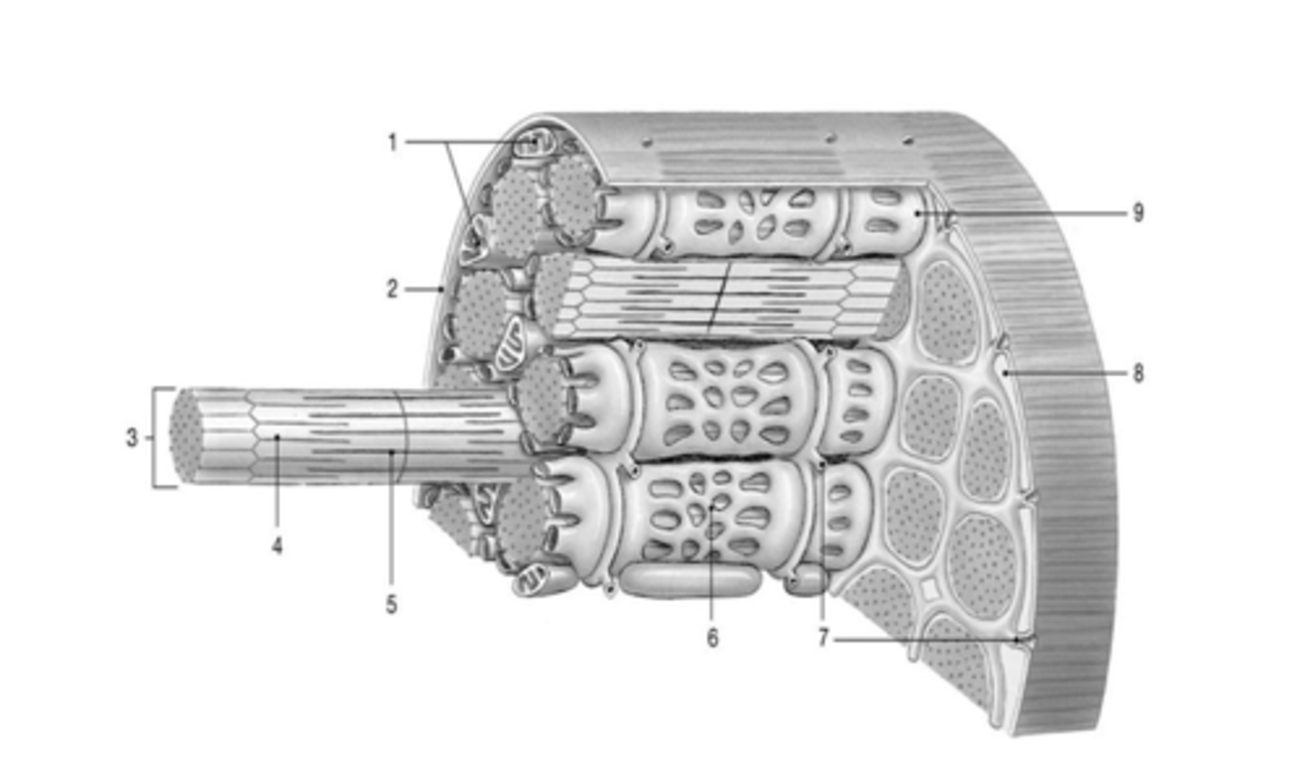 <p>B</p>