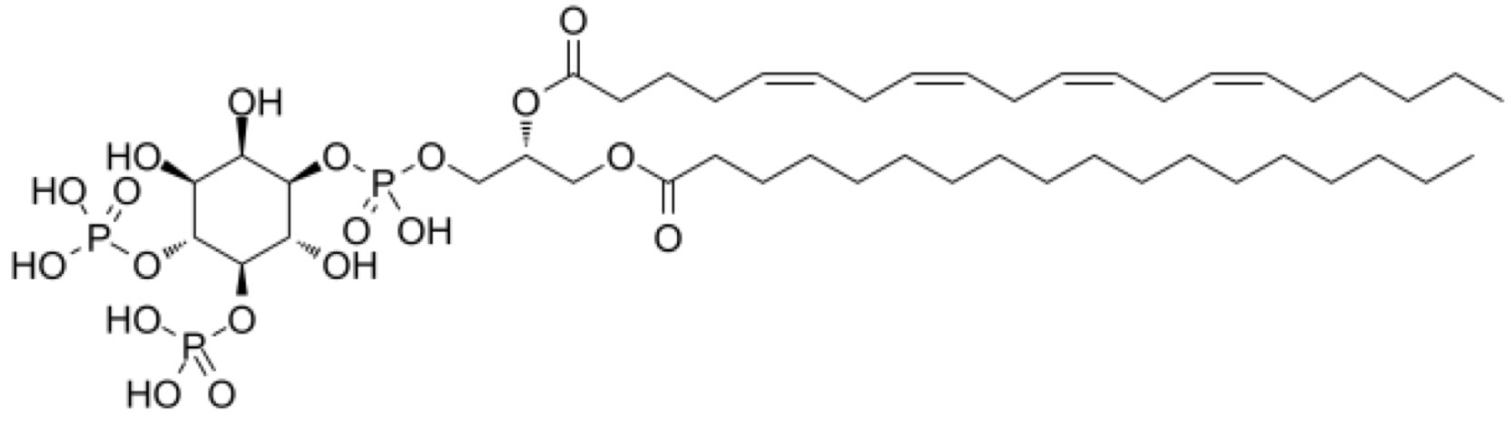 <p>Name that structure.</p>