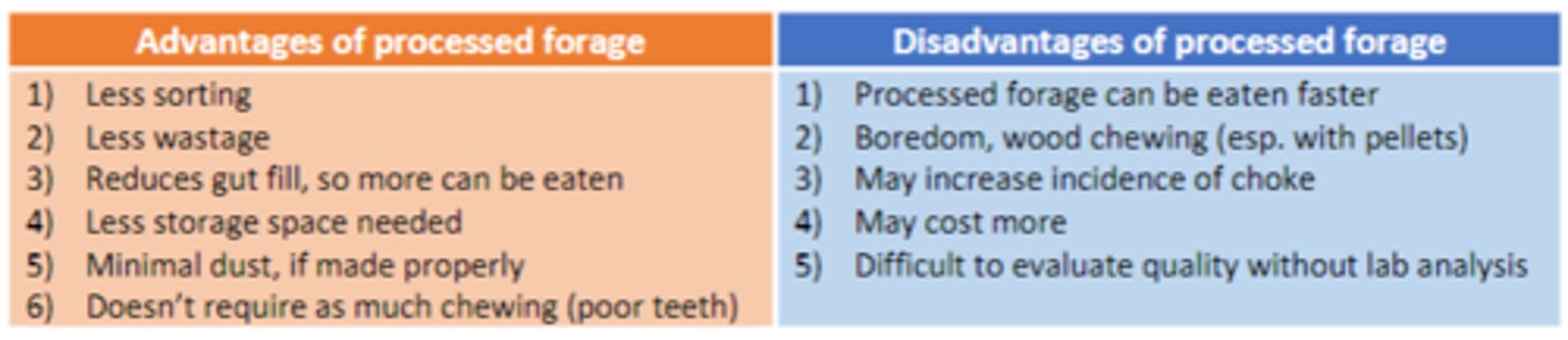 <p>processed hay = chopped, cubed, pelleted</p>