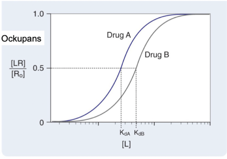 <p>Det är en jämviktskonstant som anger när hälften av receptorerna har ockuperats av liganden. Där <strong>ockupansen är 50%</strong>. En ligand med HÖG affinitet för sin receptor har en lågt Kd-värde. </p>